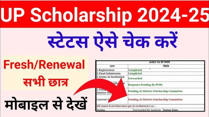 How to check up scholarship status